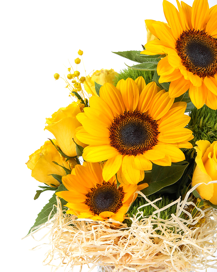 Desenli Vazoda Sarı Gül Ay Çiçeği 