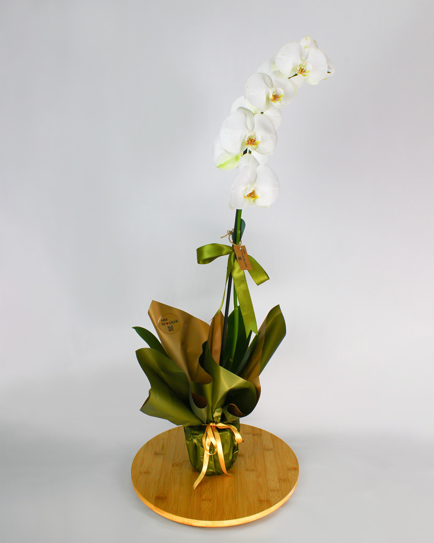 Tek Dal Beyaz Orkide