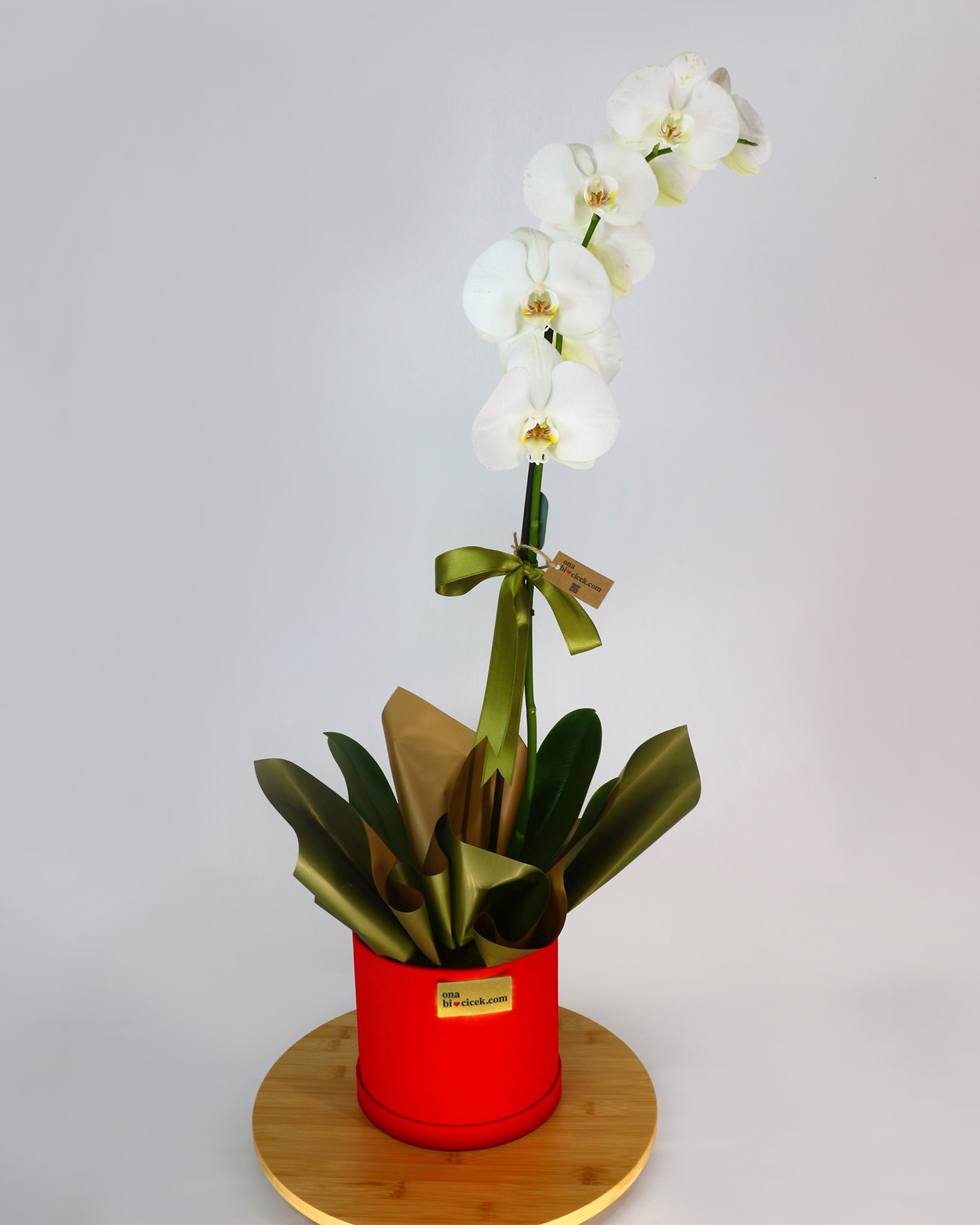 Kırmızı Kadife Kutuda Tek Dal Beyaz Orkide