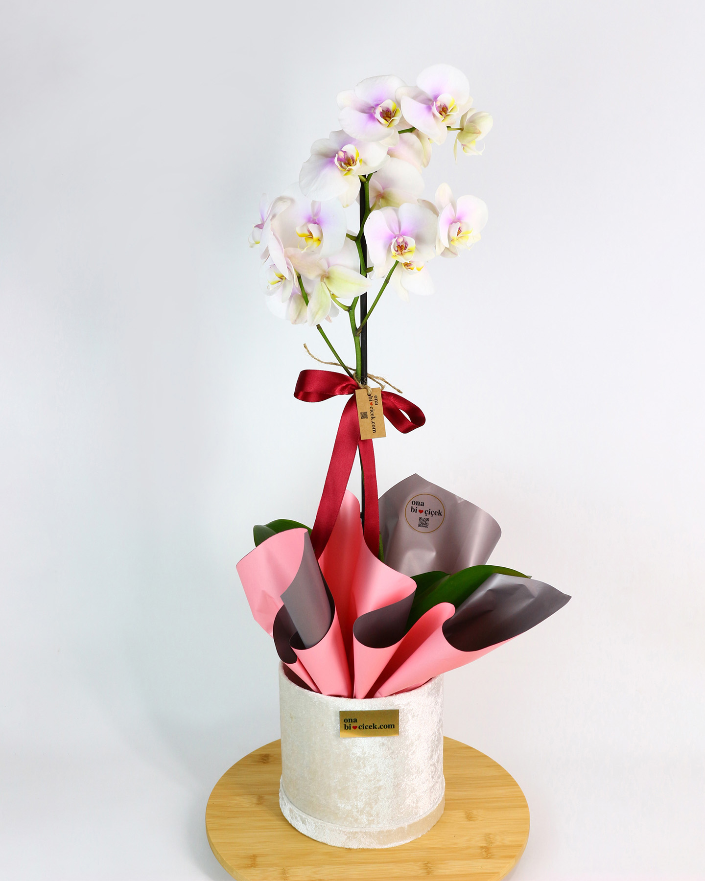 Beyaz Kadife Kutuda Tek Dal Renkli Orkide