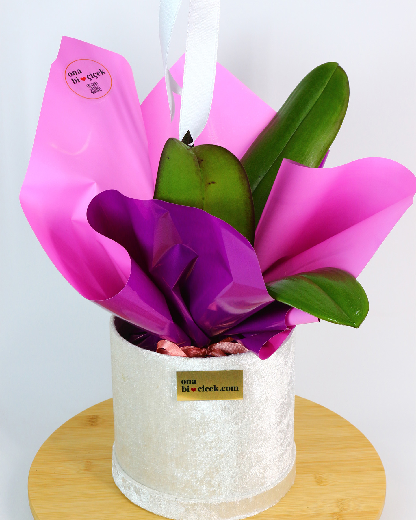 Beyaz Kadife Kutuda Premium Tek Dal Mor Orkide